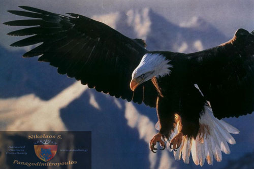 Τοτέμ της Δύναμης