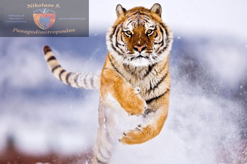 Τοτέμ της Δύναμης